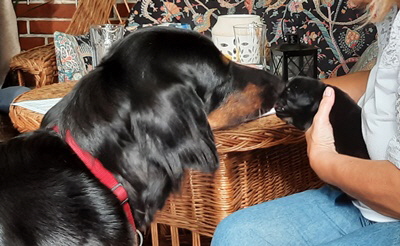 Ciara und Enzo