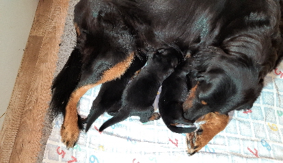 2. Woche 1