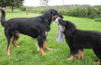 Aylin und Arino 09092011