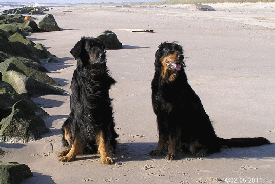 Wando und Bye 2008