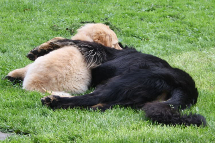 2011-09-07-BenteundBuk-IMG_4009