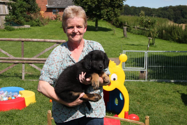 Abgabe Assia 25-26-07-2011 11