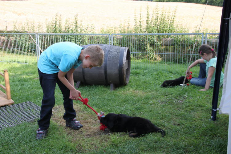 Aylins Welpen2011-07-12 03