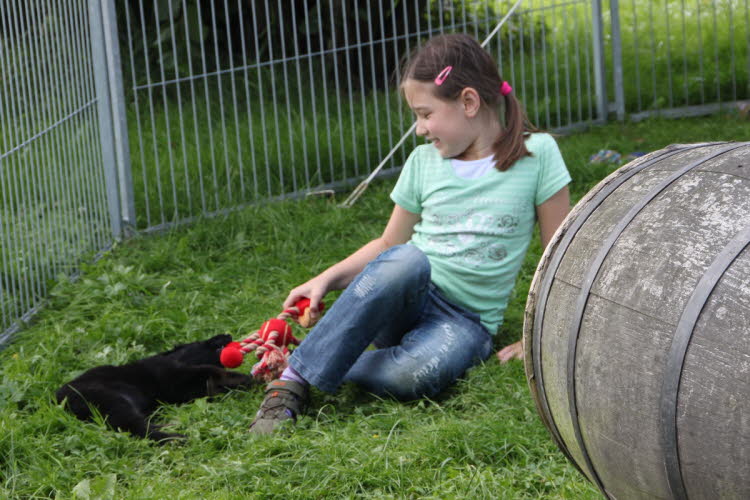 Aylins Welpen2011-07-12 04