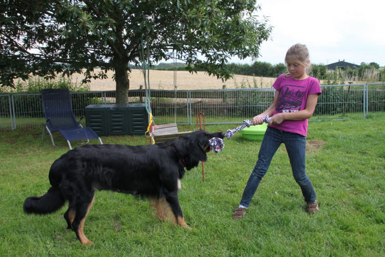 Aylins Welpen2011-07-12 05