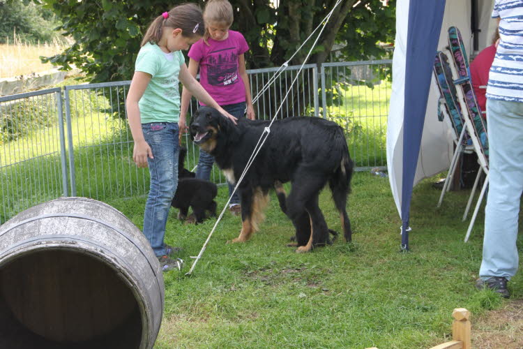 Aylins Welpen2011-07-12 07