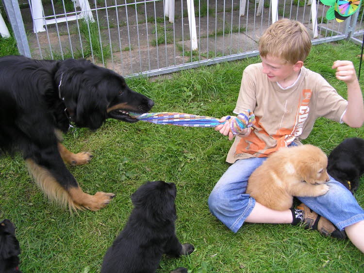 Aylins Welpen2011-07-12 23