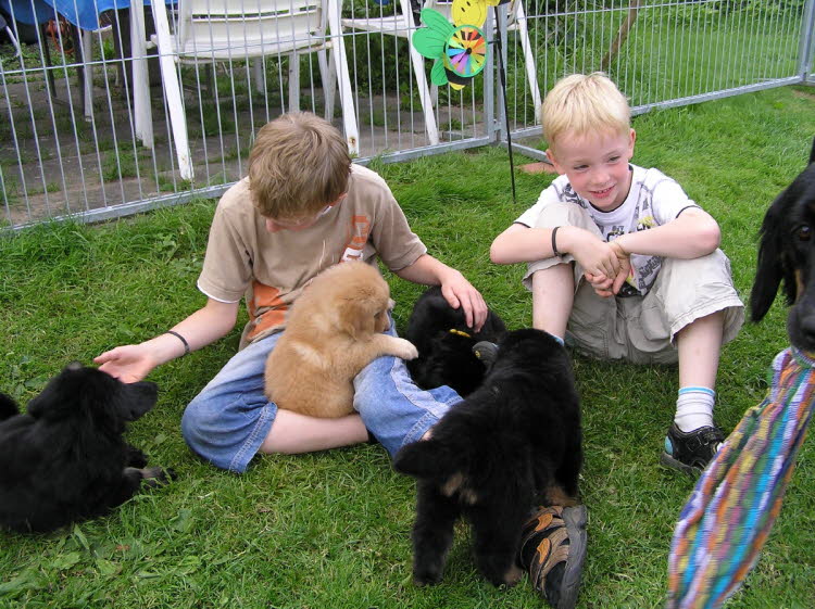 Aylins Welpen2011-07-12 24