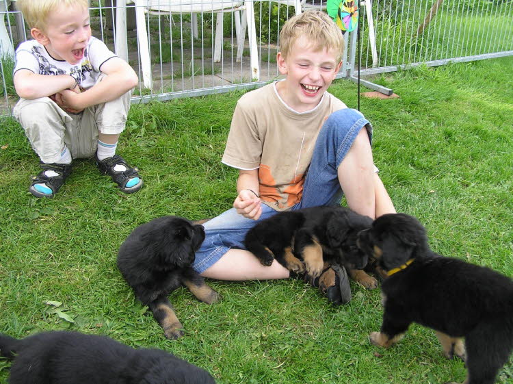 Aylins Welpen2011-07-12 25