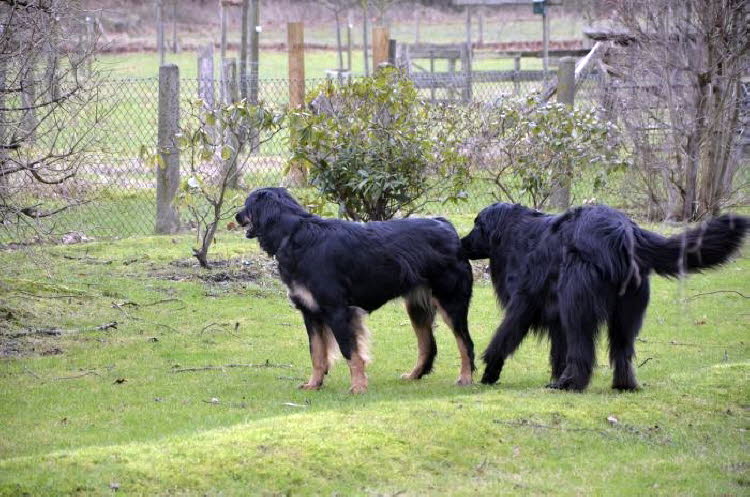 Du riechst aber gut!