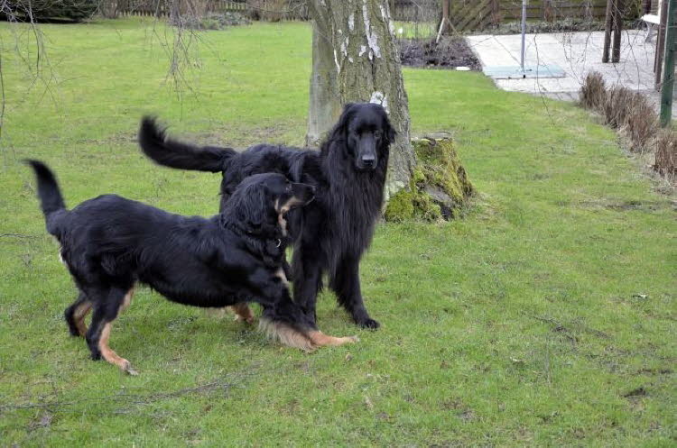 Total sympathisch ...