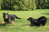 Antares und Aylin 4