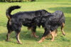 Antares und Aylin 5